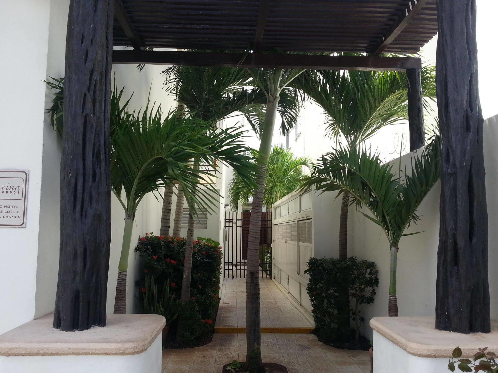 Vida Nueva Bed&Breakfast Peregrina Playa del Carmen Bagian luar foto